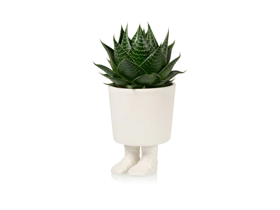 Gladiator sandal planter -  large | Bitten design