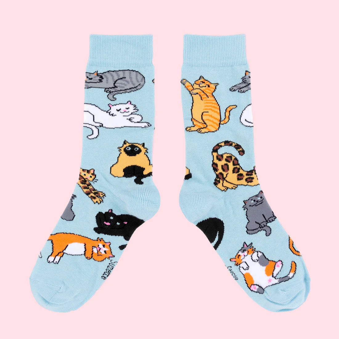 cute cat socks - coucou suzette