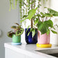 Planter Churros - Green | &Klevering - de inKijk