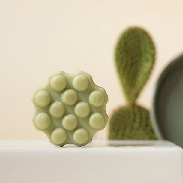 Refreshing cactus shampoo bar | Wondr Care