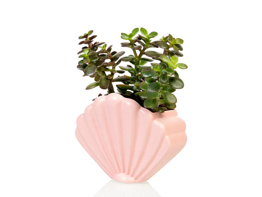 Schelp planter -  roze - large | Bitten design